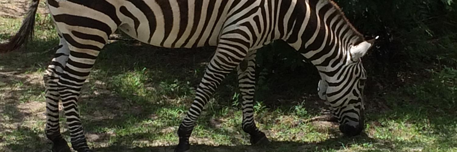 clfry0705's profile banner image