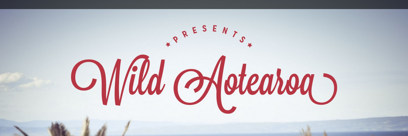 WildAotearoa's profile banner image