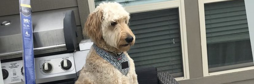 Thatlingsfan22's profile banner image