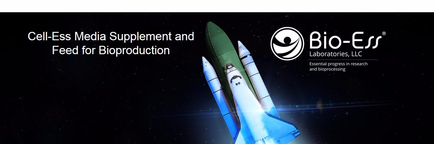 CellEssCeleste's profile banner image