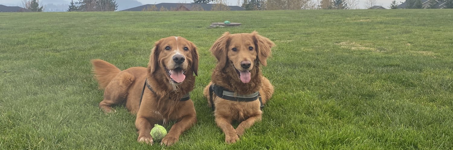 Emperor G 🥊🥋 banner