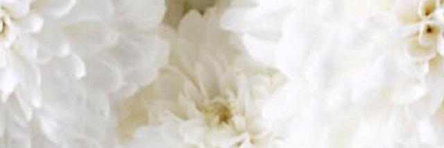 Absentee_ff's profile banner image