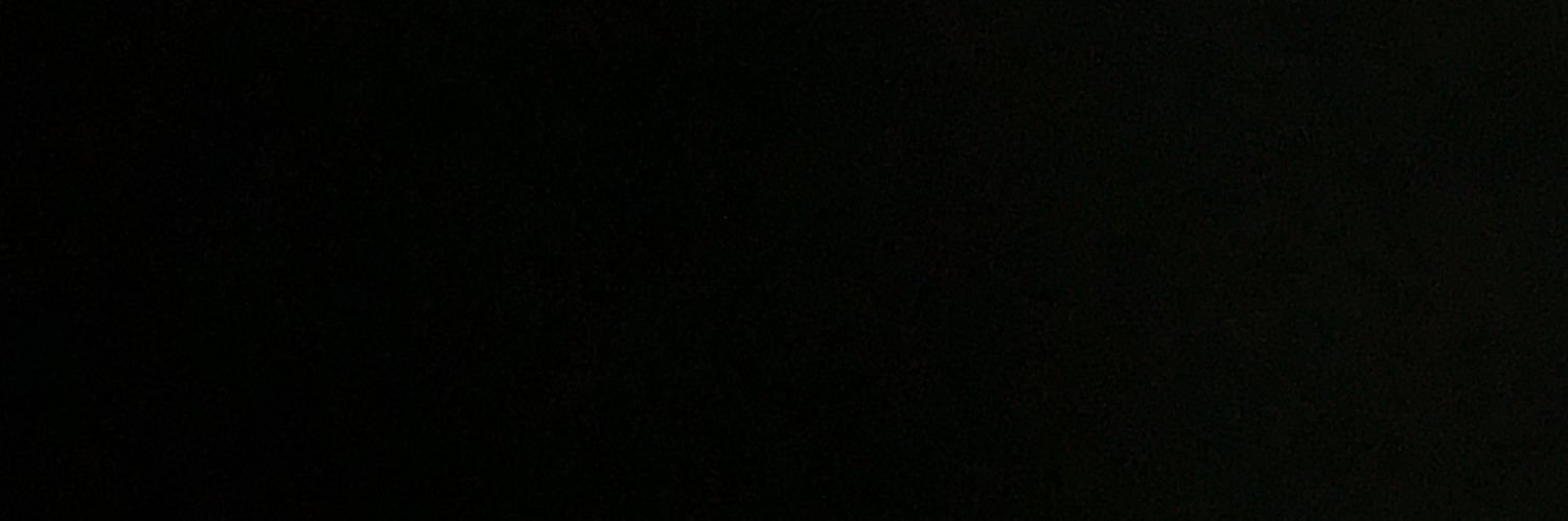 TKDLemons's profile banner image