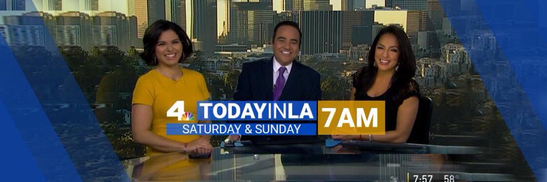 Michelle Valles banner