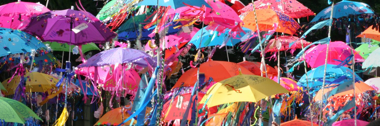 Dimitri Zenghelis banner