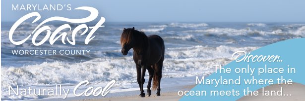 Worcester County banner