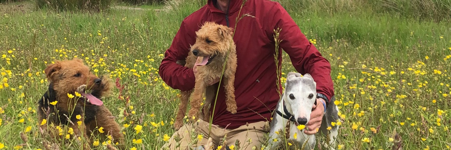 frank harrison banner