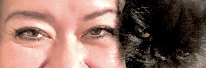 RavenAussieAdam's profile banner image