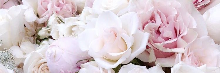 _prettychicaa's profile banner image