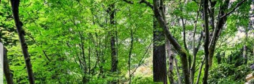 PropAssistGS's profile banner image