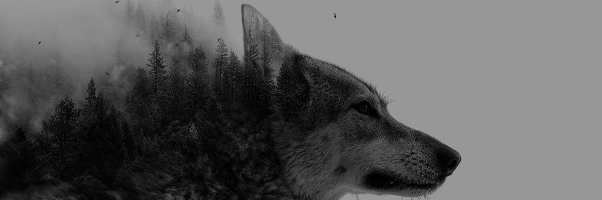 juju___6's profile banner image