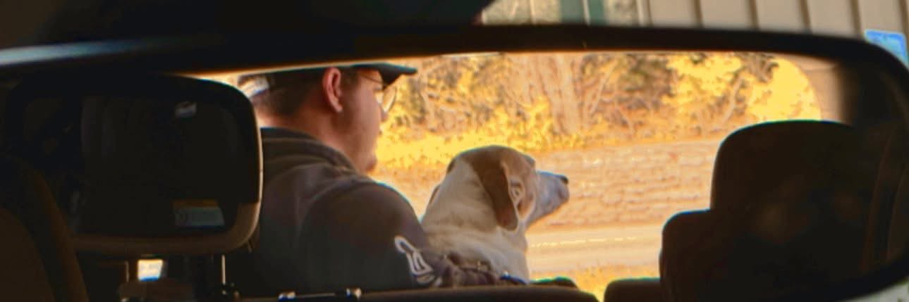 Moose ᵃᵉ - #Lunar banner