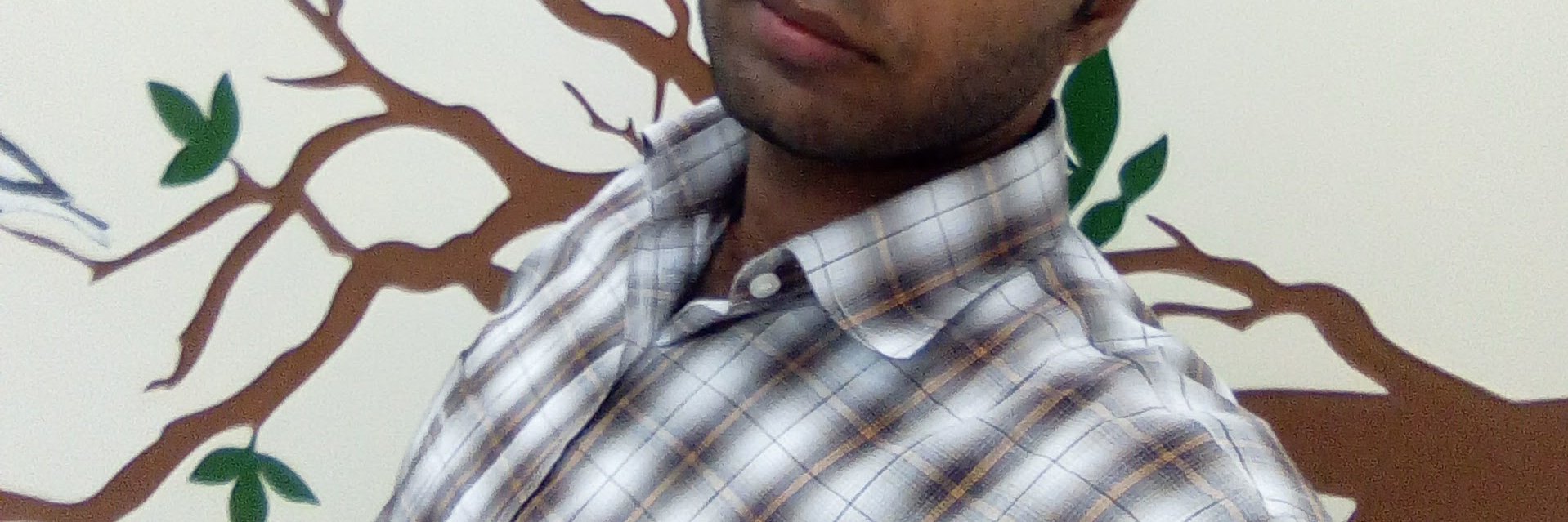 hasib494's profile banner image