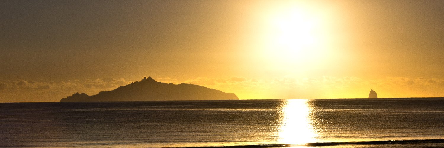 Harry Collins banner