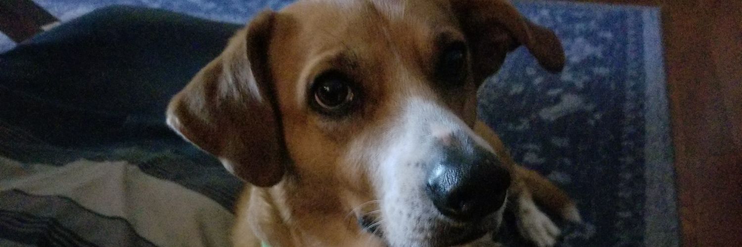 buscotfurious's profile banner image