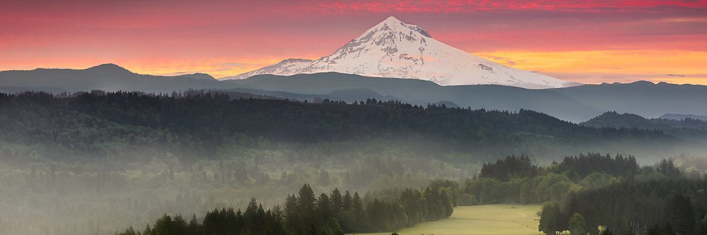 ShortTermAnswer's profile banner image