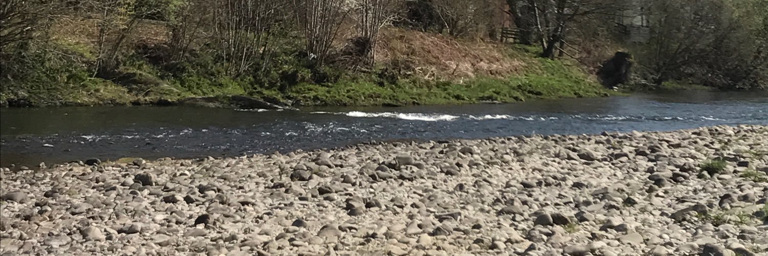 SSuemh66's profile banner image