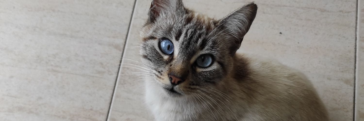 FranAries85's profile banner image