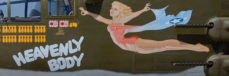 Ross banner