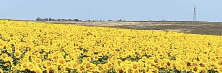 pablorios84's profile banner image