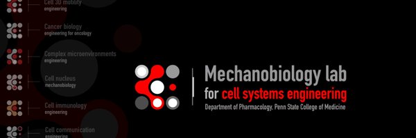Tabdanov Profile Banner