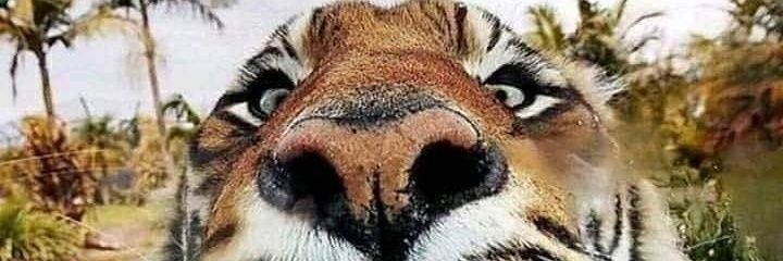 jawedkhan0405's profile banner image