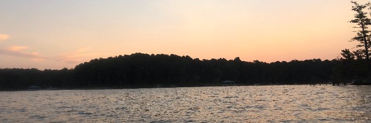 Christian Williams banner