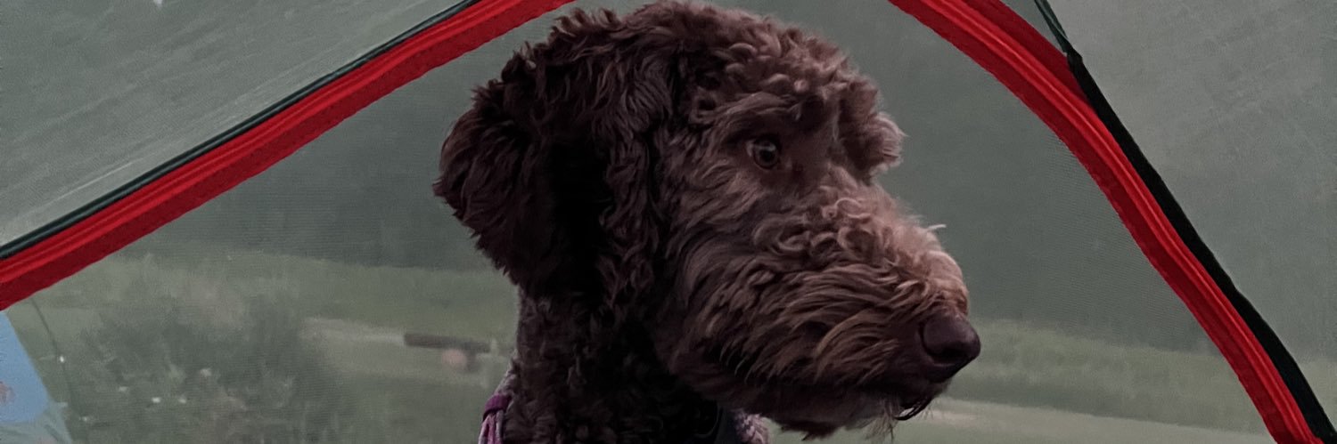CurtisWayneJr's profile banner image