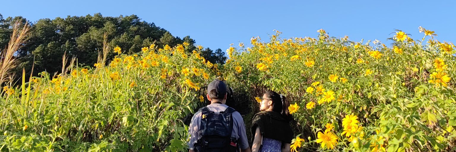 eivanne's profile banner image