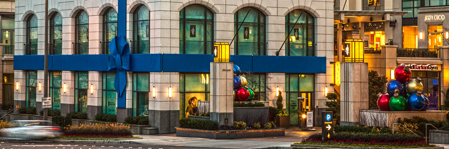 Botanical Designs banner