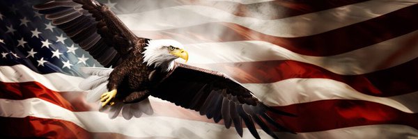 Stormynight667 Profile Banner