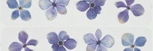 candy_alberto's profile banner image