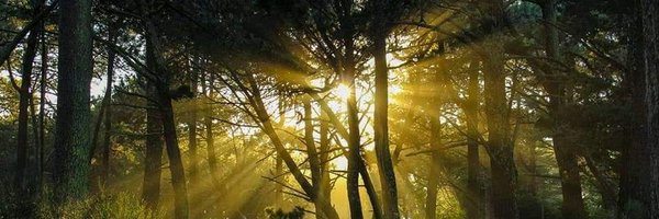 SESEIXA Profile Banner