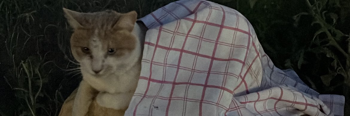 segurcu's profile banner image