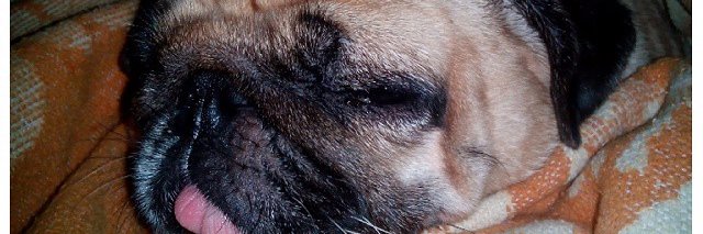 charlesmarcera's profile banner image