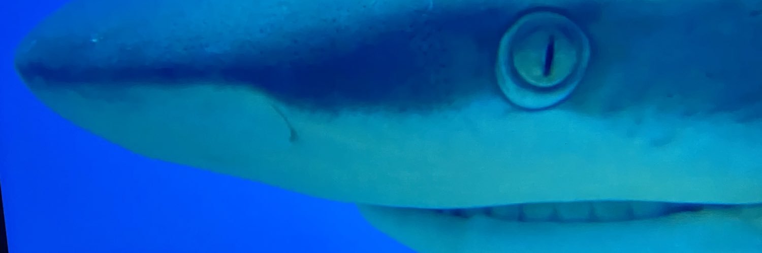 Jungmutter's profile banner image