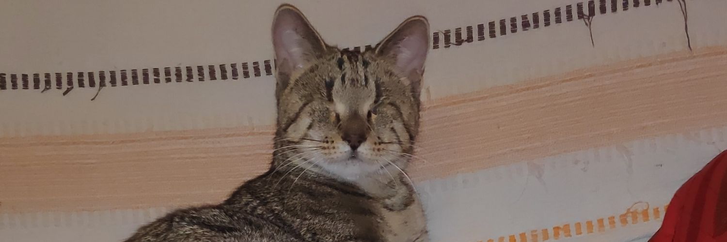 PirataReB's profile banner image