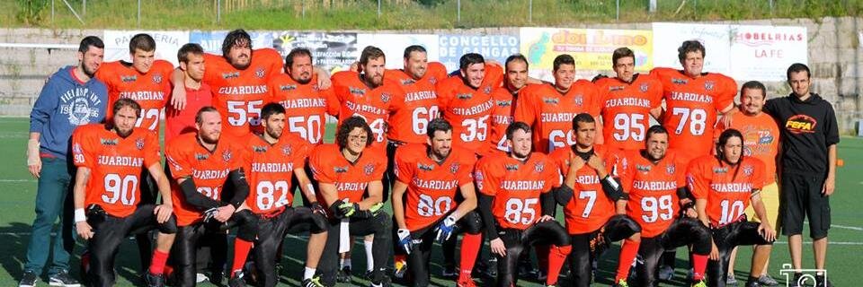 Vigo Guardians banner