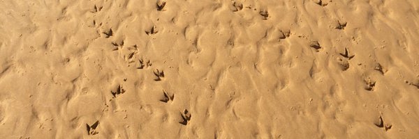 SimonLauder Profile Banner