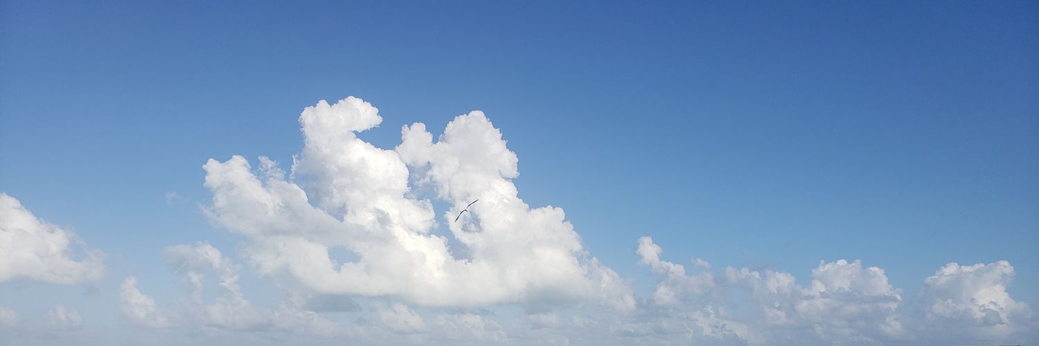 RobtCr's profile banner image