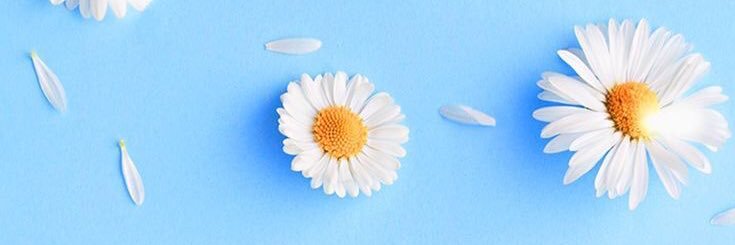 MartusDN's profile banner image