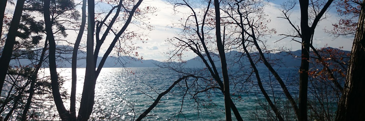 lesoiseauxbleu's profile banner image