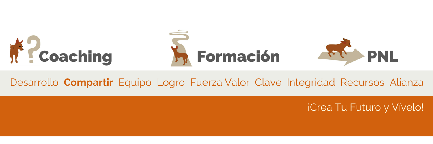 Cleo Resuelve banner
