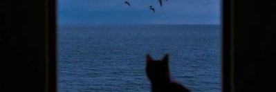 aybikcim's profile banner image