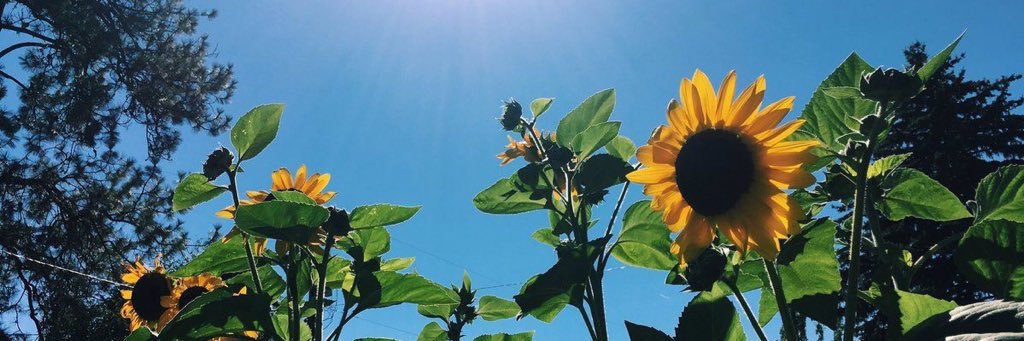 kayjayy428's profile banner image