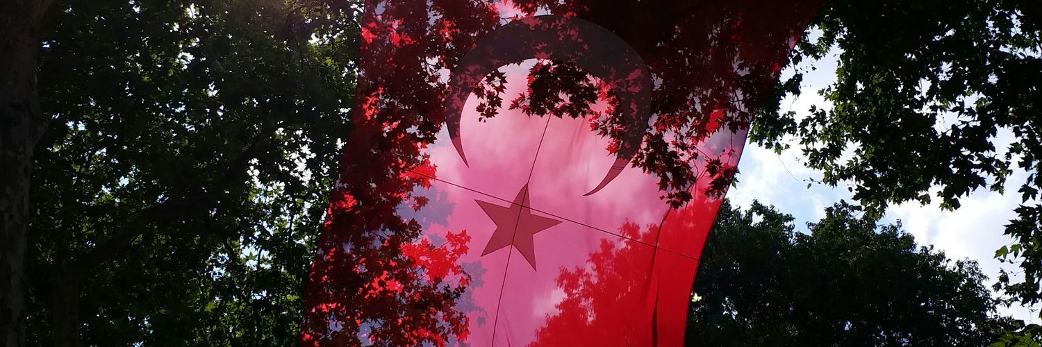 zeyneptursari's profile banner image