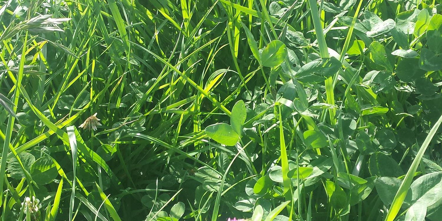 Stuart Taylor banner