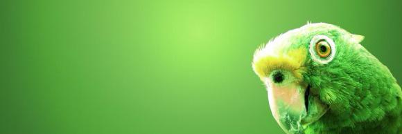 bestweetsLV's profile banner image
