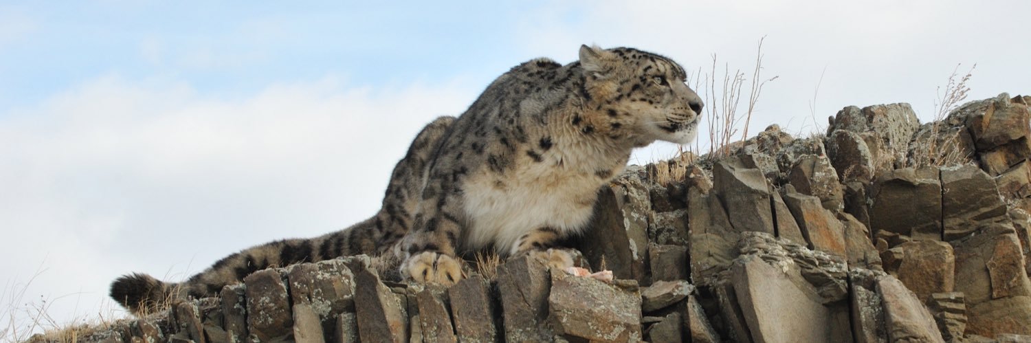 GSLEP_Secretariat banner