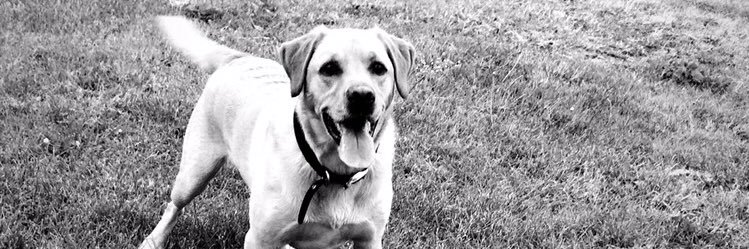 melanie_bailey's profile banner image